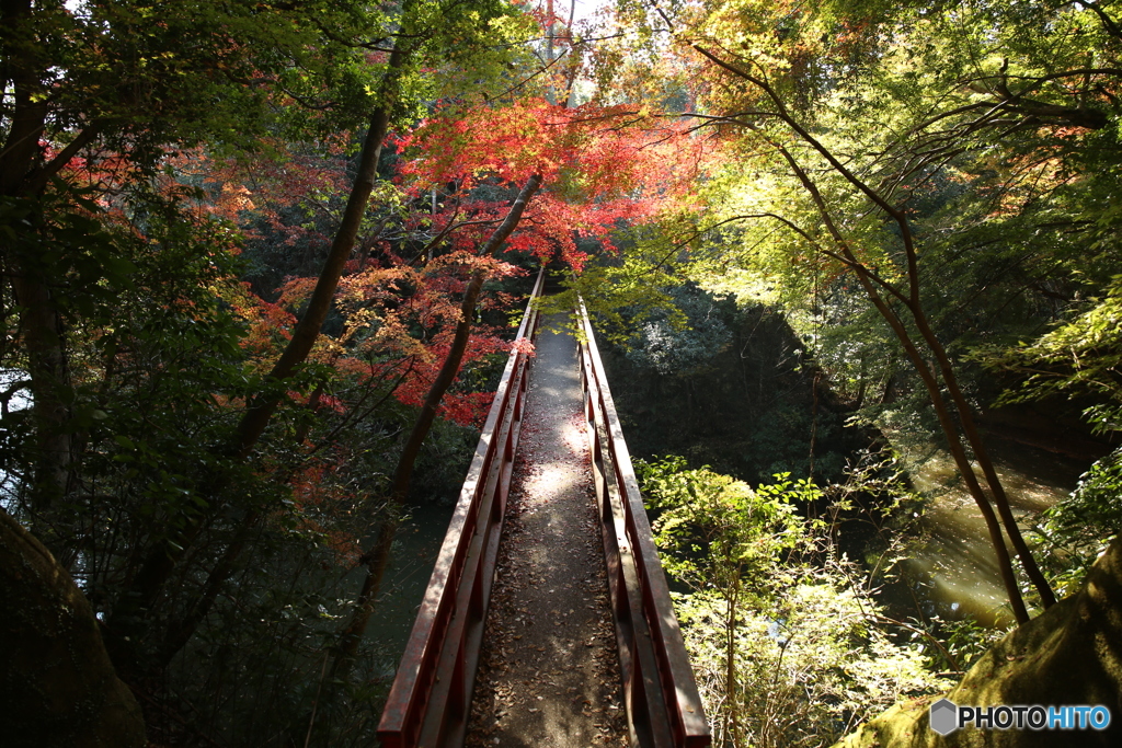 亀山湖　紅葉　2017