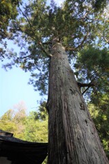 これが君の名はの時代間です。