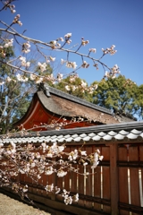 京都にて　春が近い