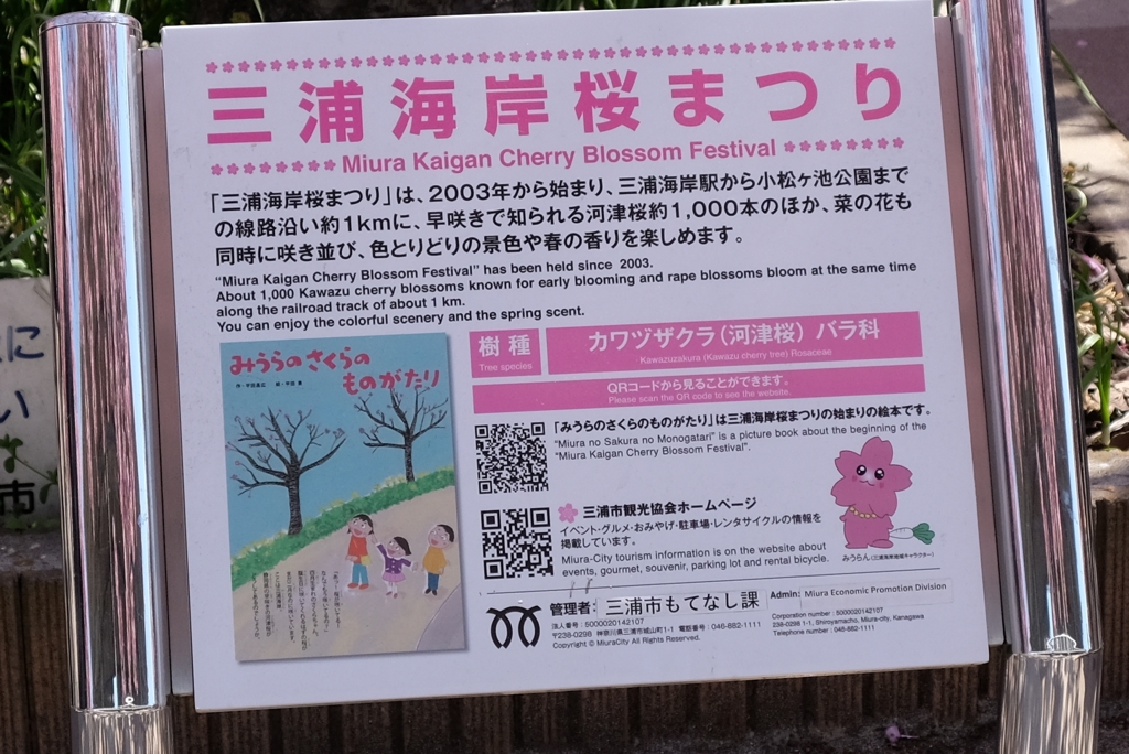 桜まつり