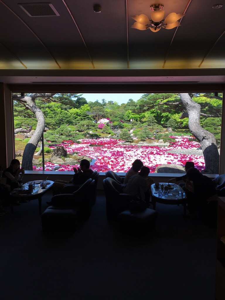 昔旅行で訪れた場所どこだったかな？