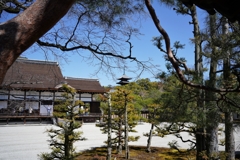 仁和寺