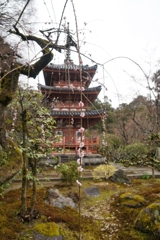 京都