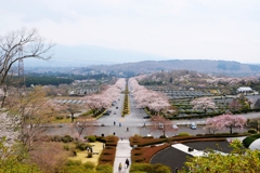 高台から