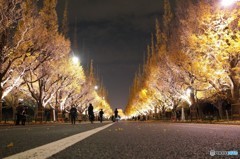 神宮前　いちょう祭り2017