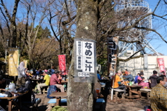 なめこ汁の木は人気でした。