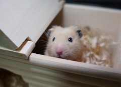 おはよ～　新しいレンズだね。。