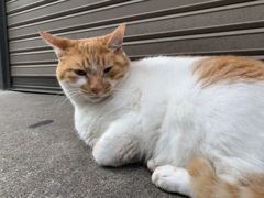 めいちゃん今日も元気