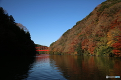 亀山湖　紅葉　2017