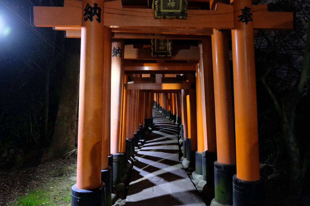 鳥居が多いなあ