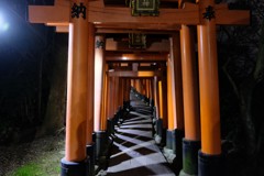 鳥居が多いなあ