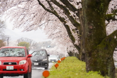 わき見運転気を付けてね
