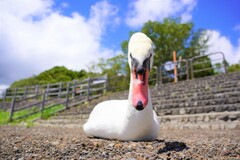 座る！！