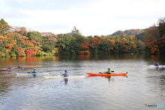 亀山湖