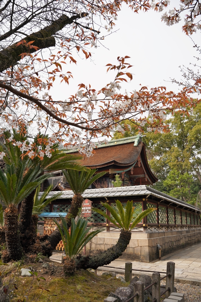 京都にて