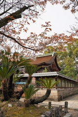 京都にて