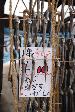 干物