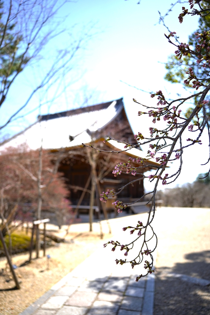 京都にて