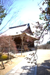 京都にて