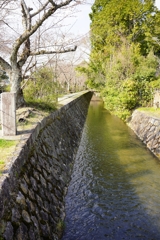 哲学の道