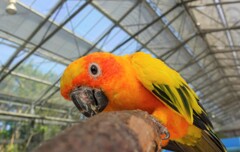 花鳥園にて