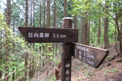 分かれ道