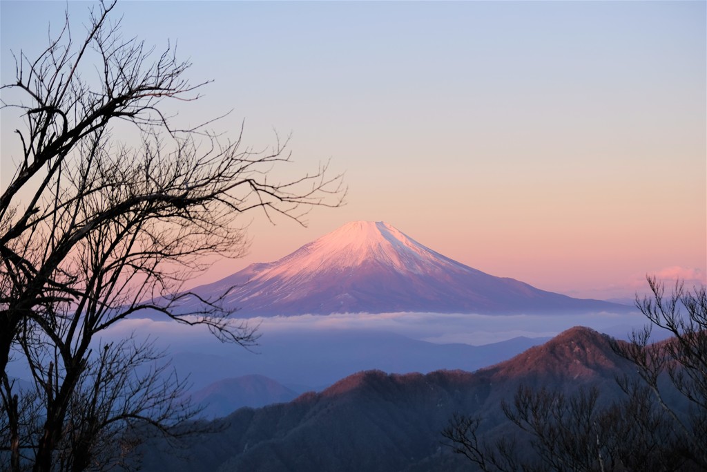 丹沢からの紅富士