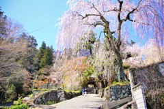 妙義山