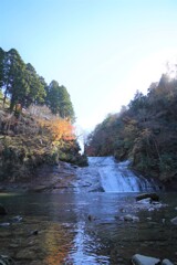 養老渓谷の紅葉5