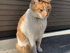 ぼーっとしたい日
