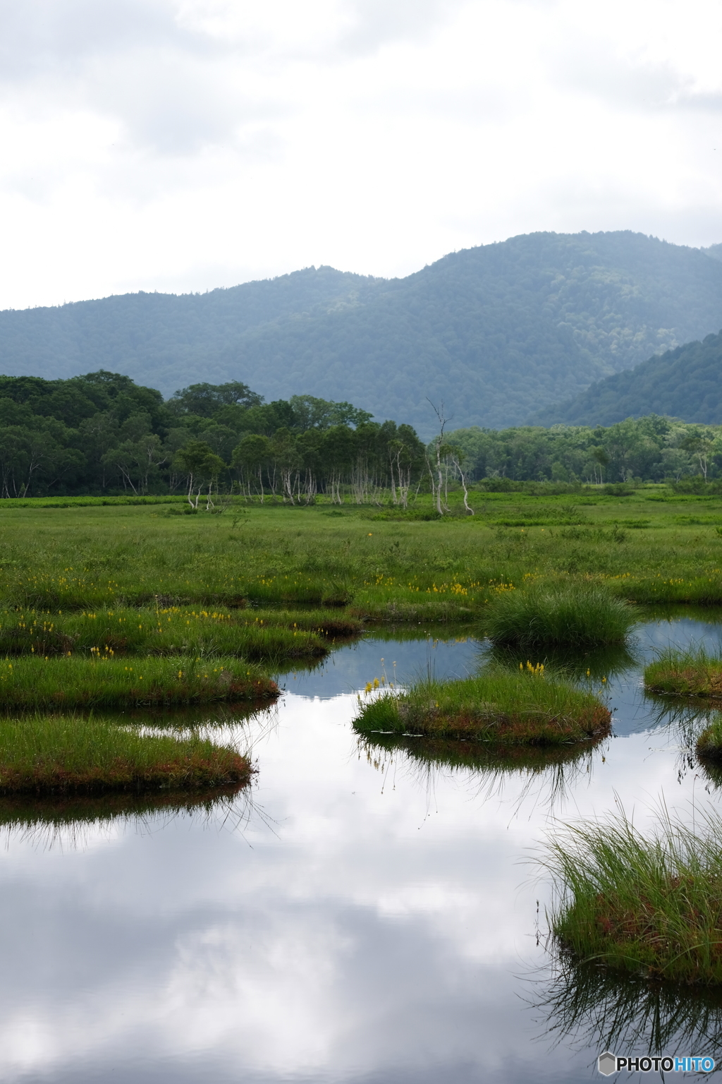 尾瀬ケ原　池塘