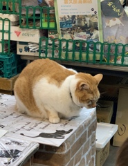めいちゃんおったよー