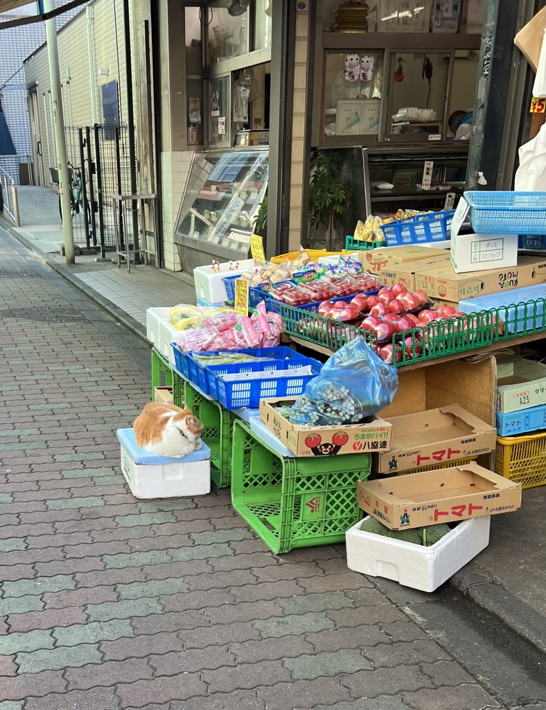そっぽ向いてるねえ