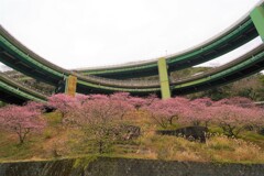 ループ橋の前で
