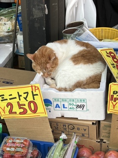 めいちゃんおった