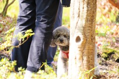 見つかった！！