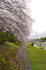 DSC04117