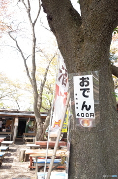 おでんの木