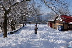 雪の高尾山　2018