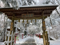 雪の山道
