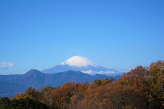 曽我丘陵の富士2