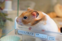 選挙速報気になるよね！！