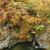 奥日光　紅葉狩り