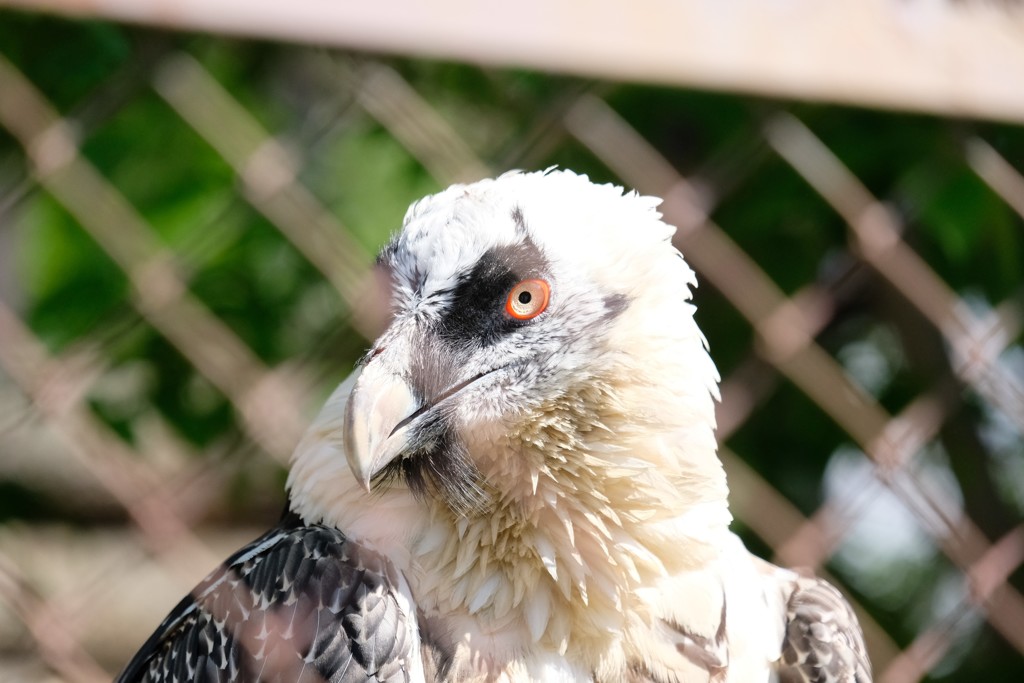 エカテリンブルグ　動物園