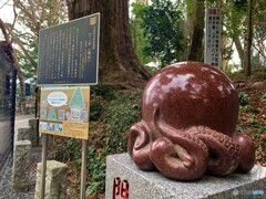 ひっぱりだこ