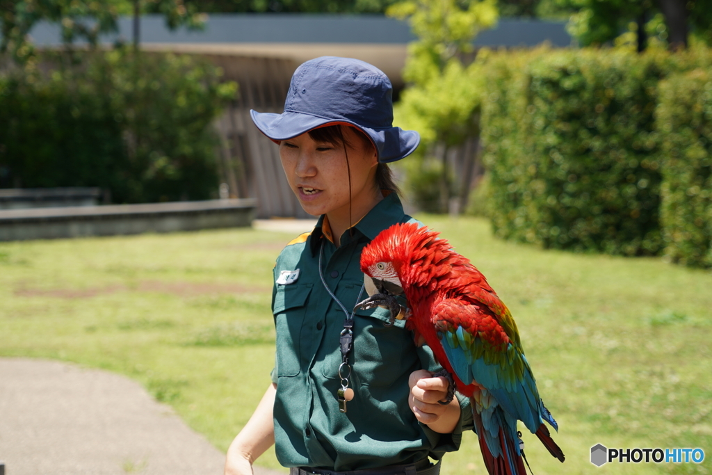 練習中です。