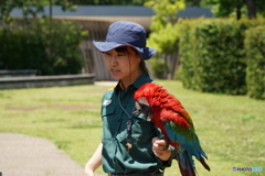 練習中です。