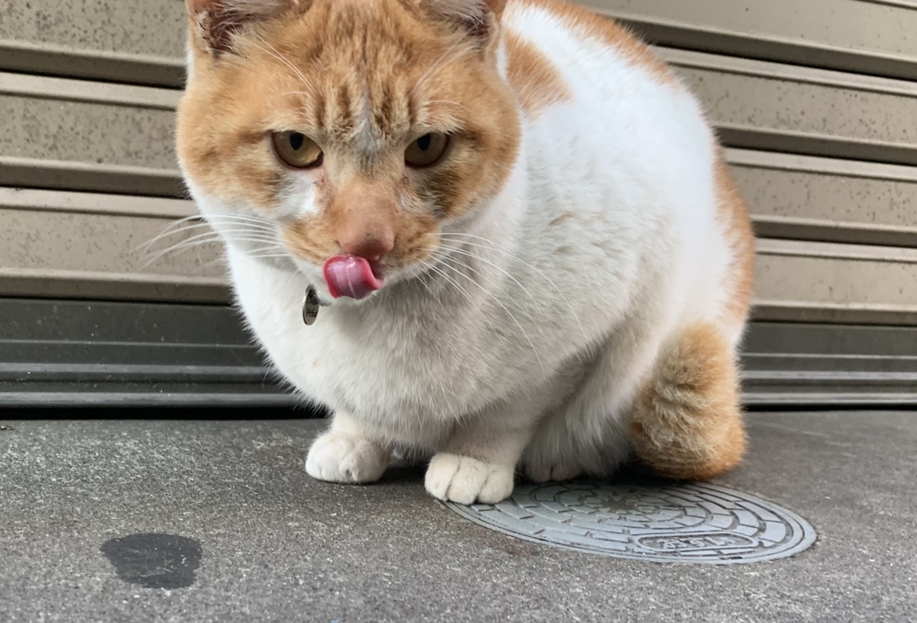 あっかんべー