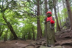 赤い帽子が頻繁に変わります。