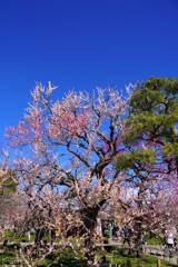 晴れててよかった